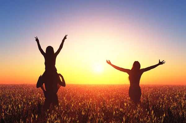 Glada Människor Fältet Vid Solnedgången Återgivning — Stockfoto