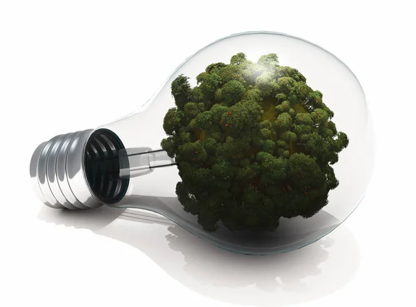 Forest Light Bulb Render — Stock Photo, Image