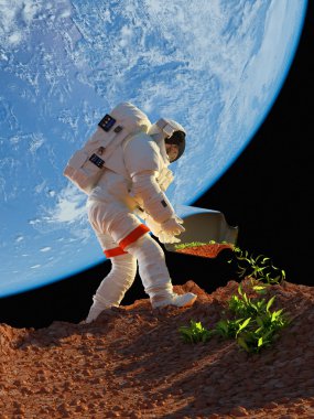  Astronot çim bitkileri.