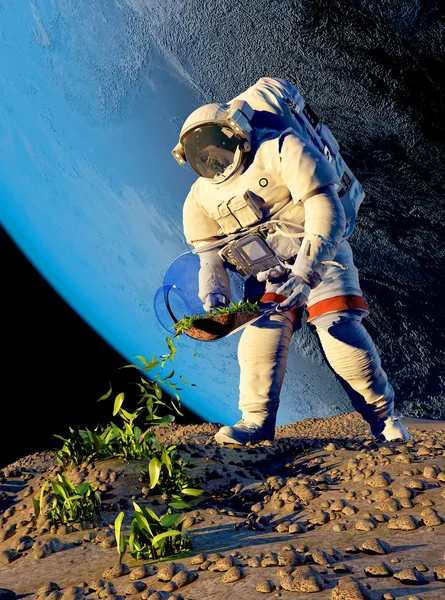 Astronaut grass plants. — Stock Photo, Image
