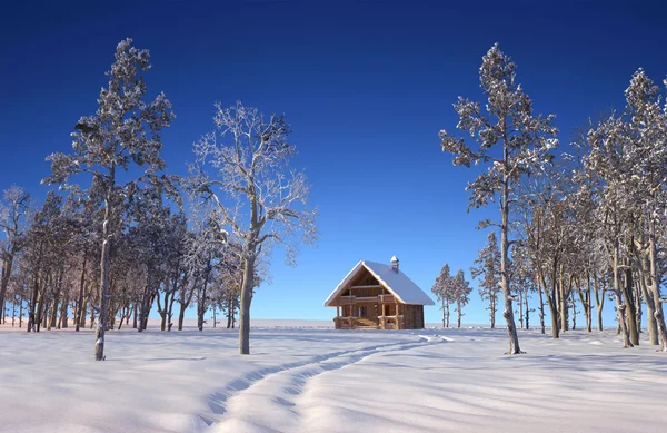 O inverno — Fotografia de Stock