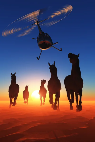 Paarden in de woestijn. — Stockfoto
