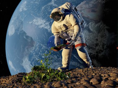  Astronot çim bitkileri.