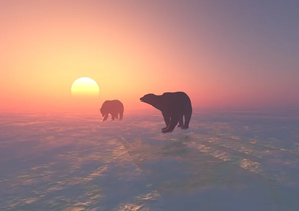 Białe niedźwiedzie. 3D — Zdjęcie stockowe