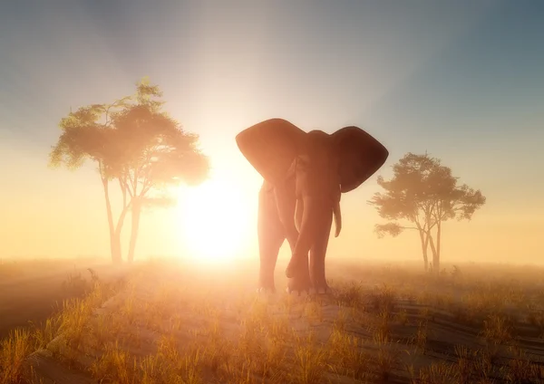 De olifant. 3D — Stockfoto