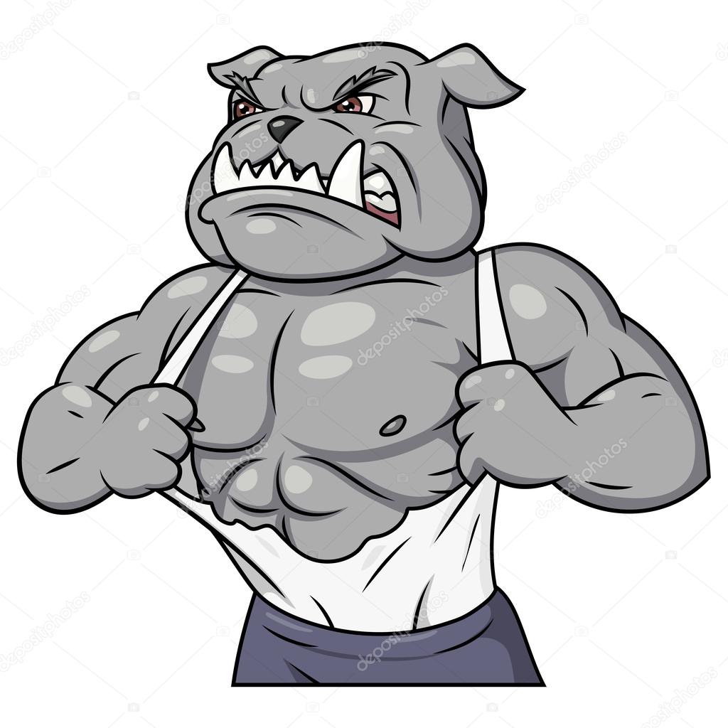 Aggressive bulldog tearing his shirt 3
