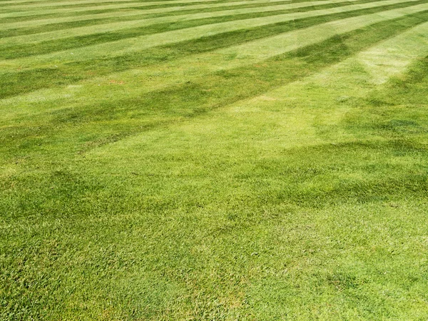 Detail view of lawn in modern garden — Stock Photo, Image