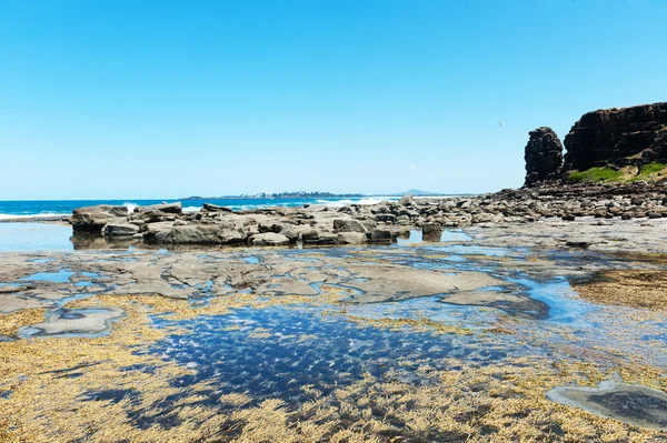 Rock near the sea — Stock Photo, Image