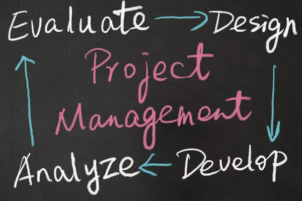 Project management diagram — Stock Photo, Image