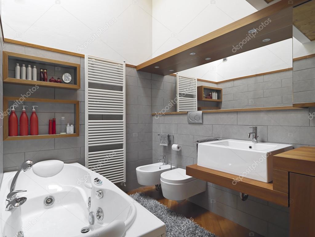 interior view of modern bathroom