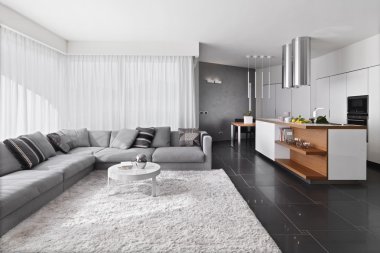 Modern oturma odası iç görünümü