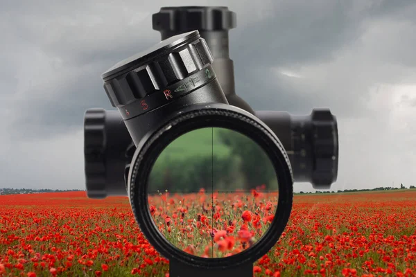 Haşhaş Tarlasında Optik Bir Görünüm Ile Görüntüle — Stok fotoğraf