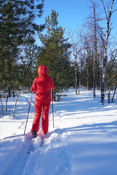 Женщина лыжник в ясный морозный день — стоковое фото