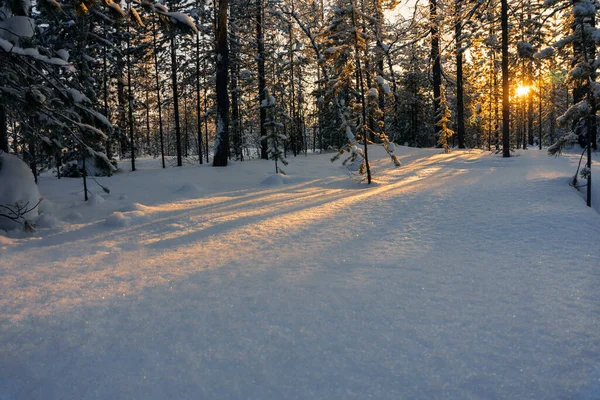 Paisagem Inverno Floresta Nevada Luz Laranja Brilhante Sol Poente Extremo — Fotografia de Stock