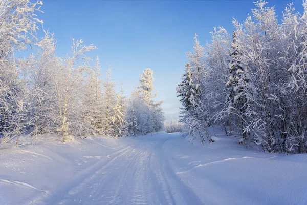 Paysage Hivernal Avec Ciel Bleu Vif Journée Ensoleillée Hiver Yamalo — Photo