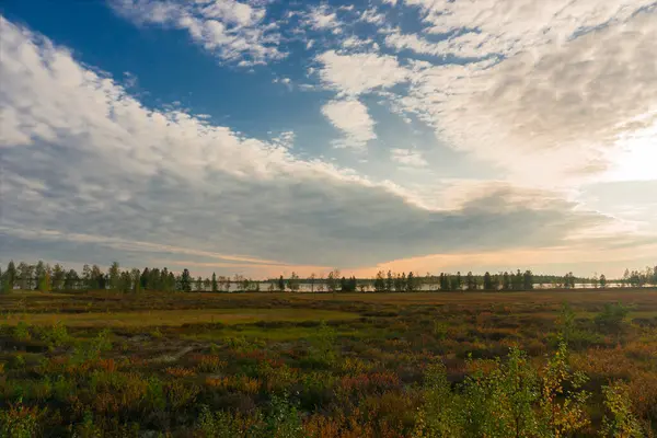 Tundra Ormanının Sonbahar Manzarası Gün Batımında Resmedilmiş Gökyüzü Yamalo Nenets — Stok fotoğraf