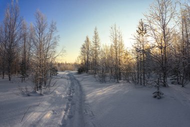Kış manzarası, kış buzlu akşam ormanı, batan güneşin ışınlarıyla kaplanmış, uzak mesafelere uzanan bir patika, uzak kuzeyin doğası.