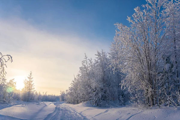 Χειμερινό Τοπίο Παγωμένο Βράδυ Λάμψη Yamalo Nenets Αυτόνομη Περιοχή Φύση — Φωτογραφία Αρχείου