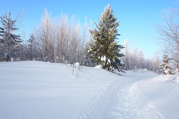 Paisaje invierno —  Fotos de Stock