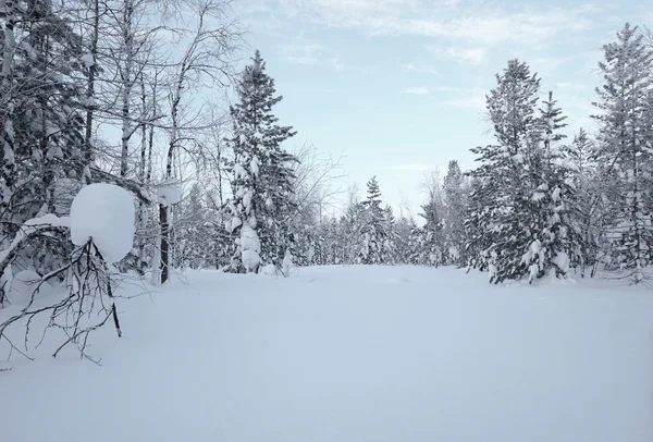 Paesaggio invernale — Foto Stock