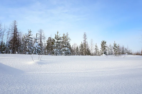 Vinterlandskap — Stockfoto