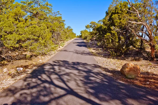 The Old Hermit Trail Grand Canyon South Rim — Stock Photo, Image