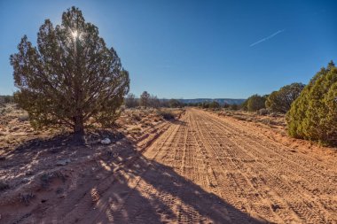 Arizona 'daki Vermilion Cliffs Ulusal Anıtı' ndaki kumlu bir yol Paria Platosu 'ndaki Beyaz Cep' e çıkıyor..