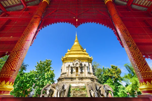 Wat Chiang Man — Stockfoto