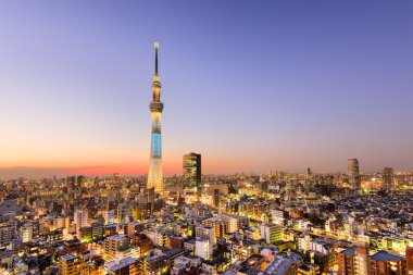 Tokyo City Skyline clipart