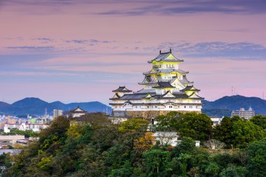 Himeji Kalesi Japonya