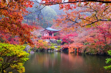 Sonbahar tapınakta Kyoto