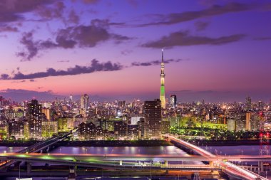 Tokyo Japonya manzarası