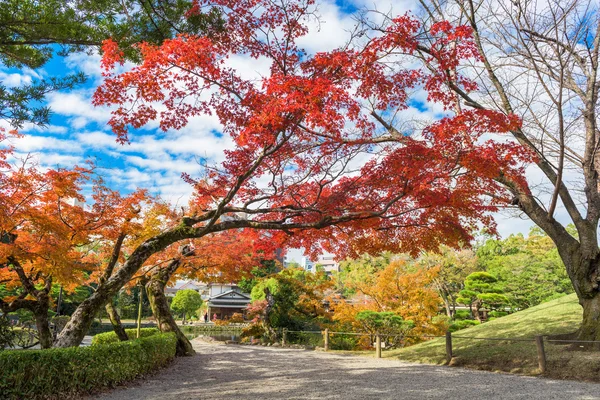 Kumamoto Japonya bahçeleri — Stok fotoğraf