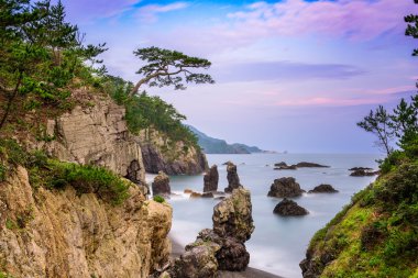 Japon