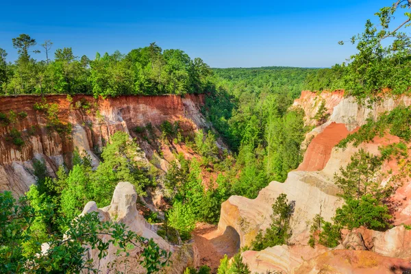 Providence Canyon, Géorgie — Photo