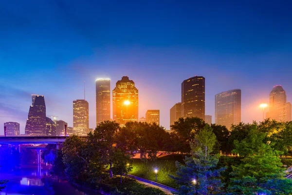 Houston Park and Skyline — Stock Photo, Image