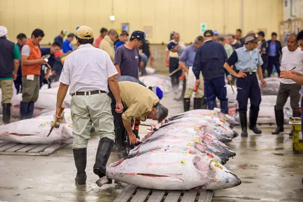 Mercado de pescado Tsukiji — Foto de Stock