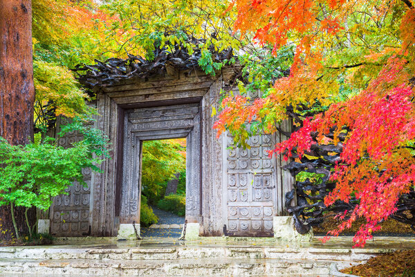 Museum in Japan During Autumn