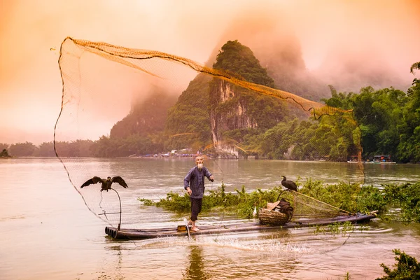 Chinese Cormorant Fisherman — Stock Photo, Image