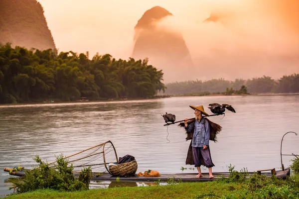Китайський рибалка Баклан — стокове фото