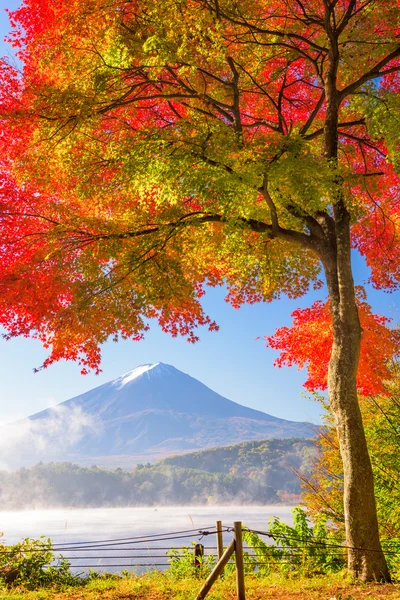 Mt. Fuji in autunno — Foto Stock