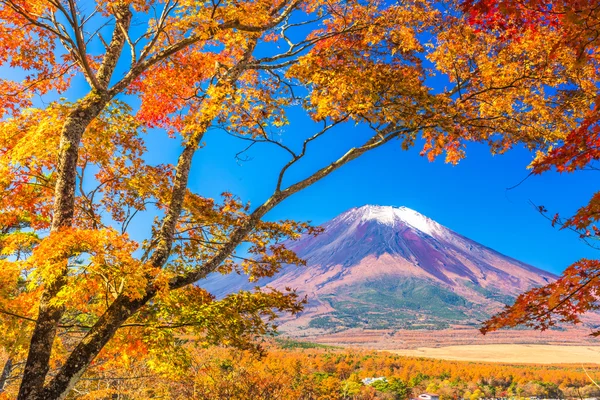 Mt. fuji, Japonsko — Stock fotografie