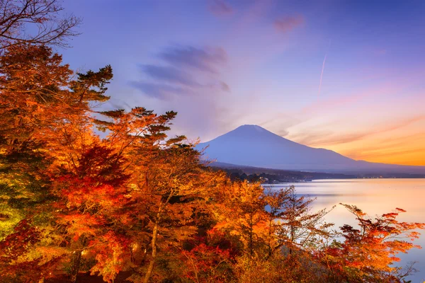 Mt. Fuji Japan — Stock Photo, Image