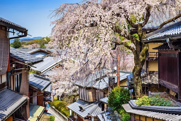 Kyoto, Japan under våren — Stockfoto