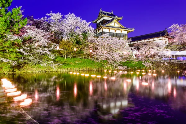 Nara Japan Schloss — Stockfoto