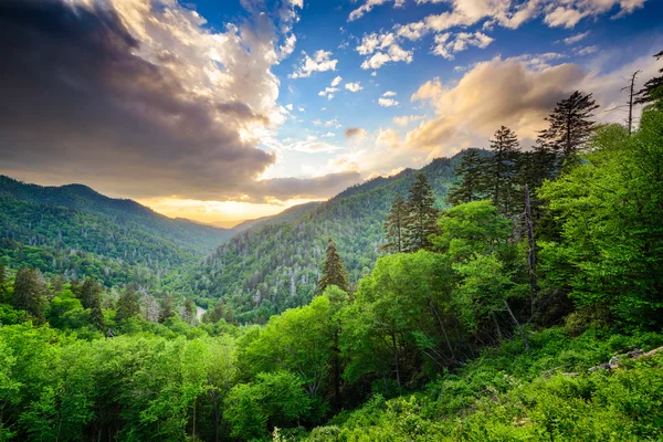 Newfound Gap in de rokerige bergen — Stockfoto