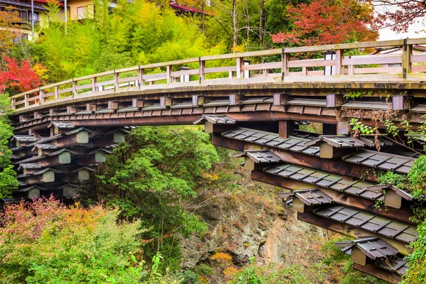 Puente de los Monos de Otsuki, Japón —  Fotos de Stock