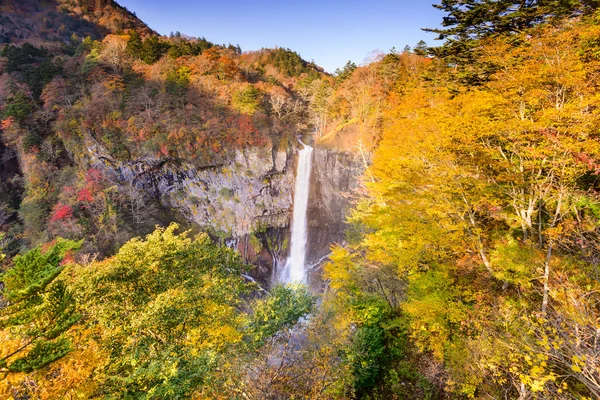 Kegonskolan faller i japan — Stockfoto