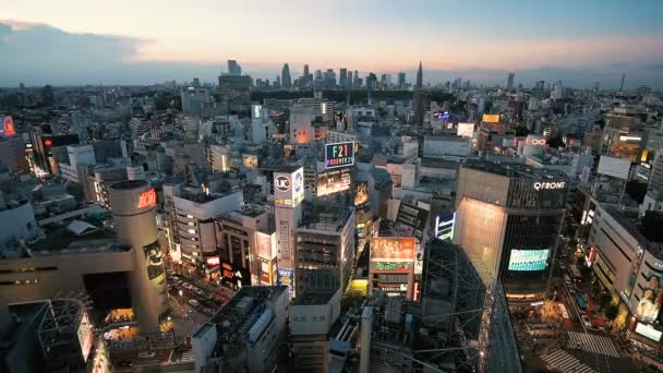 Shibuya, Tokio, Japonsko Panorama — Stock video