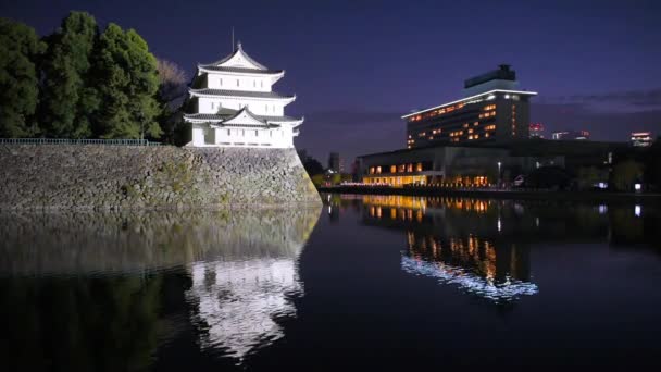 Castillo de Nagoya Japón — Vídeos de Stock